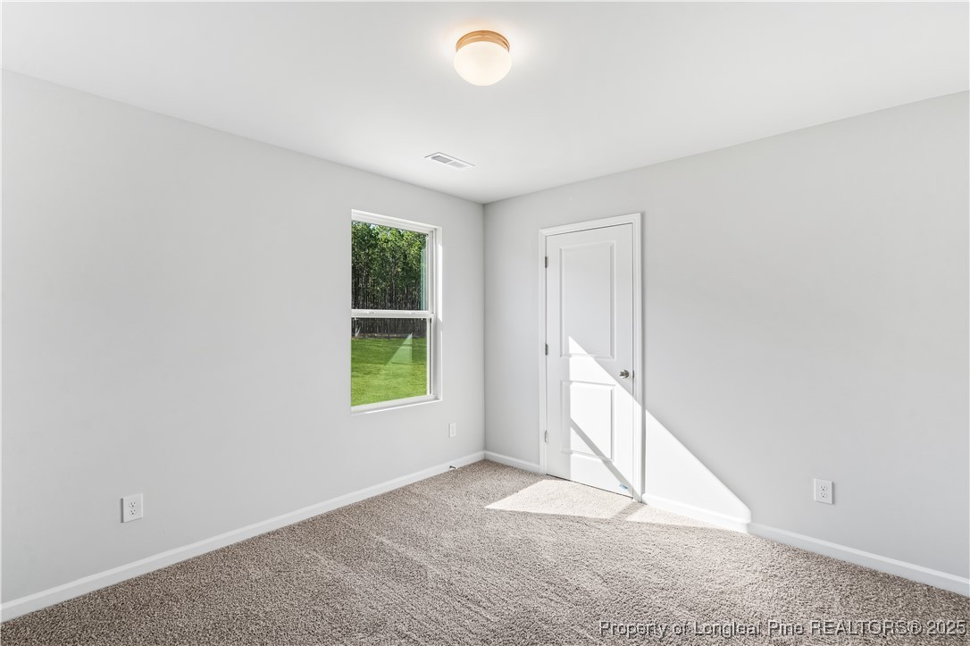 193 Deep River Road Raeford, NC 28376 - Photo 29 of 35 Gallery Image 29