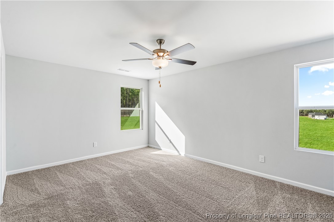 193 Deep River Road Raeford, NC 28376 - Photo 30 of 35 Gallery Image 30