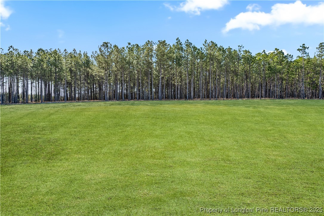193 Deep River Road Raeford, NC 28376 - Photo 6 of 35 Gallery Image 6