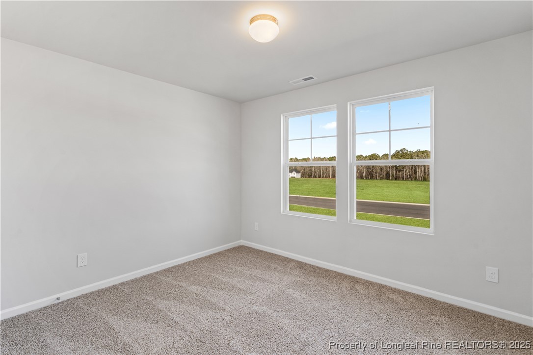 193 Deep River Road Raeford, NC 28376 - Photo 8 of 35 Gallery Image 8
