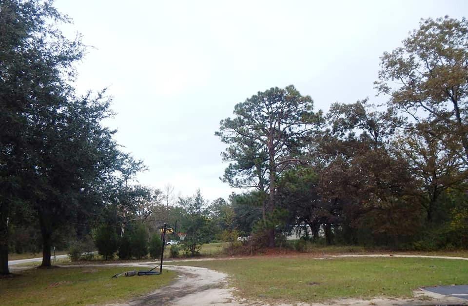 1540 Sidneys Road Walterboro, SC 29488 - Photo 14 of 15 45675775_10210588463462404_6422586501212