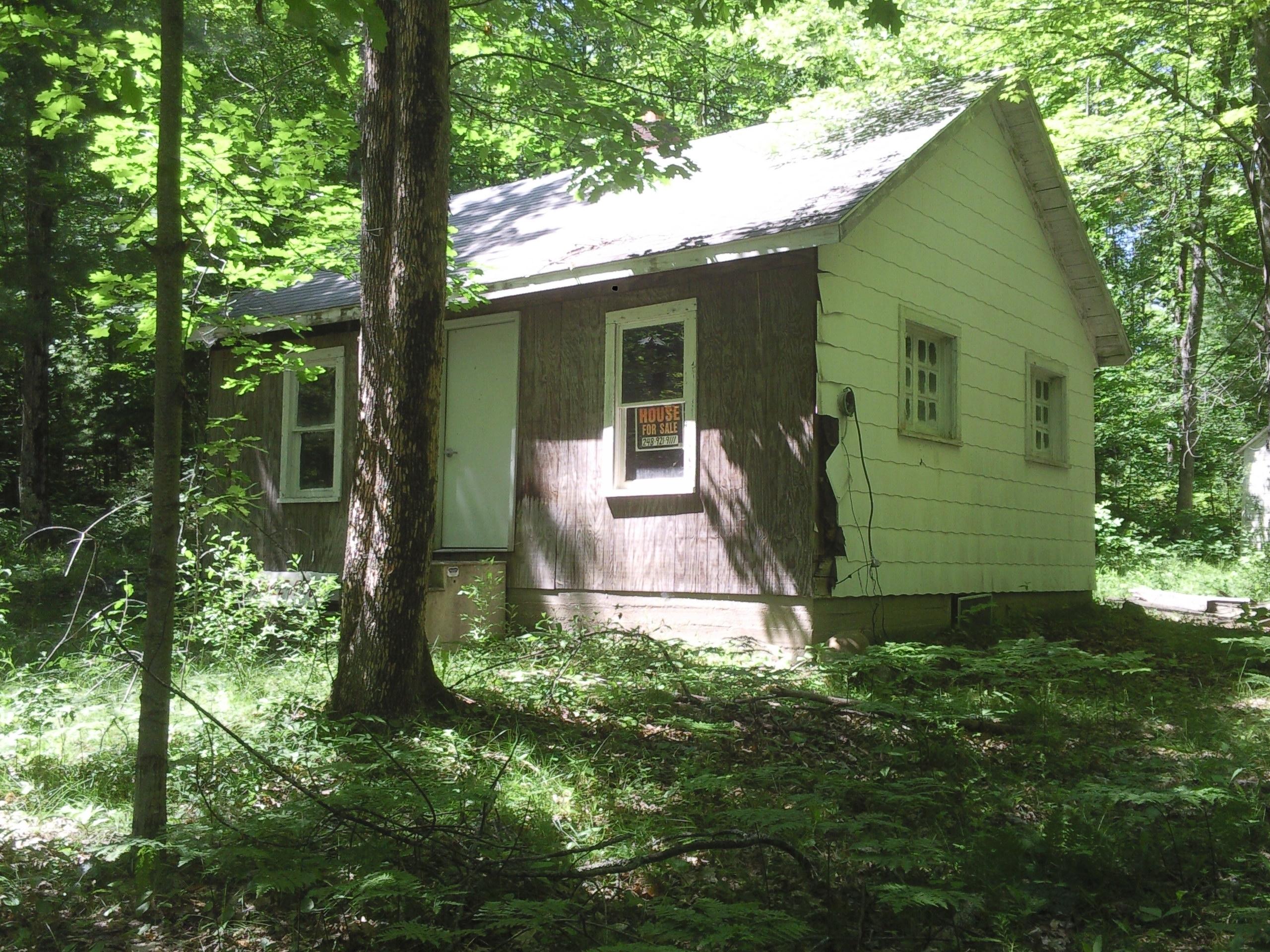 16350 Pleasant Valley Road Atlanta, MI 49709 - Photo 1 of 25 Gallery Image 1