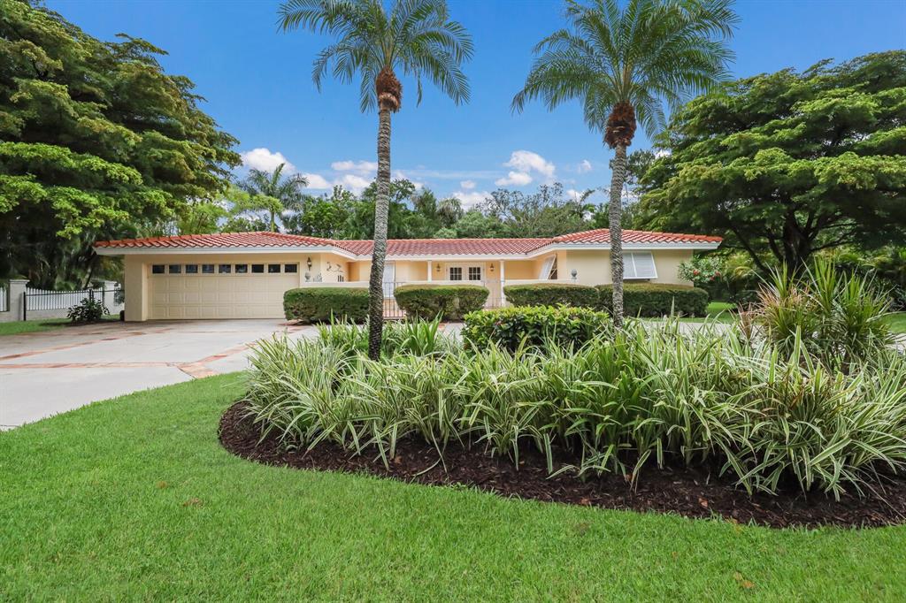 a view of a house with a garden