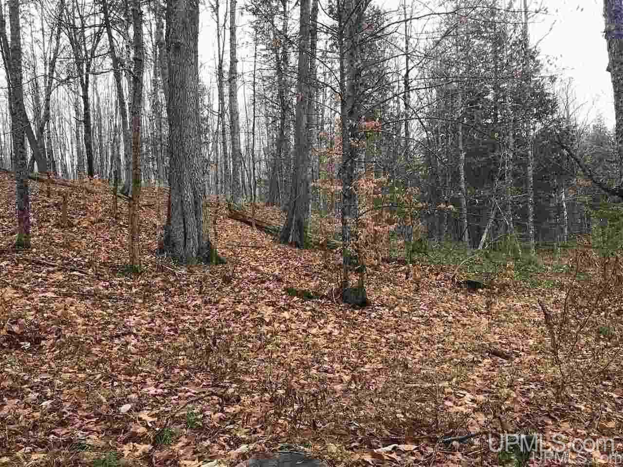 Tbd Off River Road, Unit 2 Hermansville, MI 49847 - Photo 19 of 34