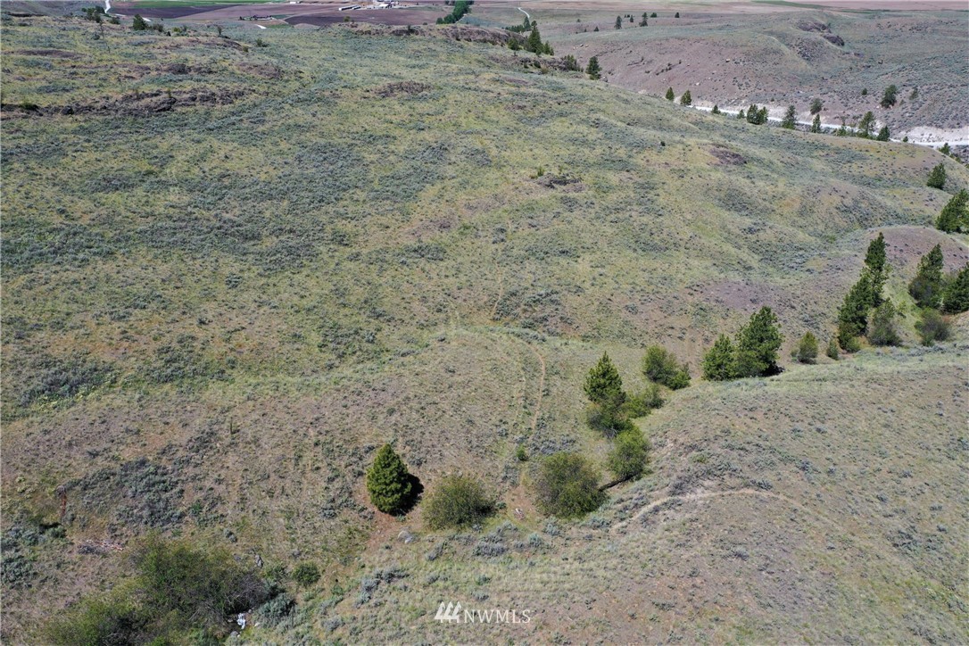 46-lot Paradise Point Road Tonasket, WA 98855 - Photo 16 of 40 Gallery Image 16