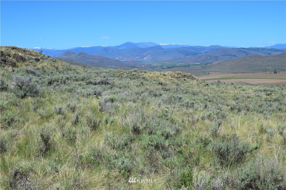 46-lot Paradise Point Road Tonasket, WA 98855 - Photo 20 of 40 Gallery Image 20