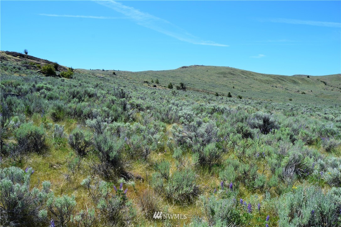 46-lot Paradise Point Road Tonasket, WA 98855 - Photo 25 of 40 Gallery Image 25