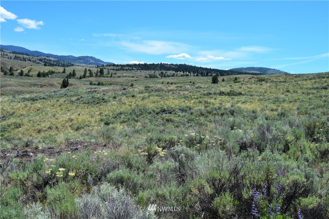 46-lot Paradise Point Road Tonasket, WA 98855 - Photo 28 of 40 Gallery Image 28