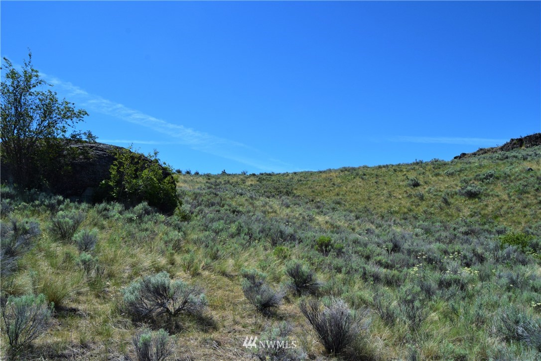 46-lot Paradise Point Road Tonasket, WA 98855 - Photo 29 of 40 Gallery Image 29