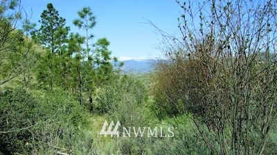 46-lot Paradise Point Road Tonasket, WA 98855 - Photo 40 of 40 Gallery Image 40