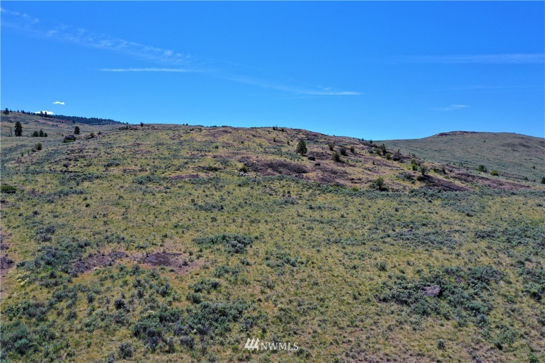 46-lot Paradise Point Road Tonasket, WA 98855 - Photo 7 of 40 Gallery Image 7