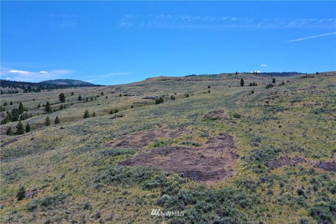 46-lot Paradise Point Road Tonasket, WA 98855 - Photo 8 of 40 Gallery Image 8