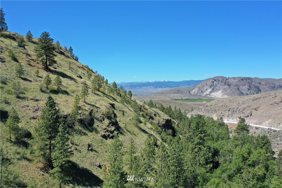 46-lot Paradise Point Road Tonasket, WA 98855 - Photo 10 of 40 Gallery Image 10