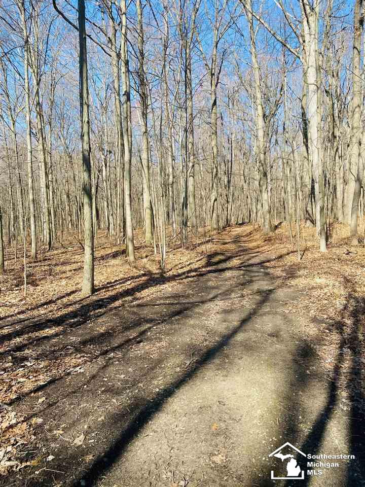 2111 Yensch Road Dundee, MI 48131 - Photo 26 of 27 Gallery Image 26