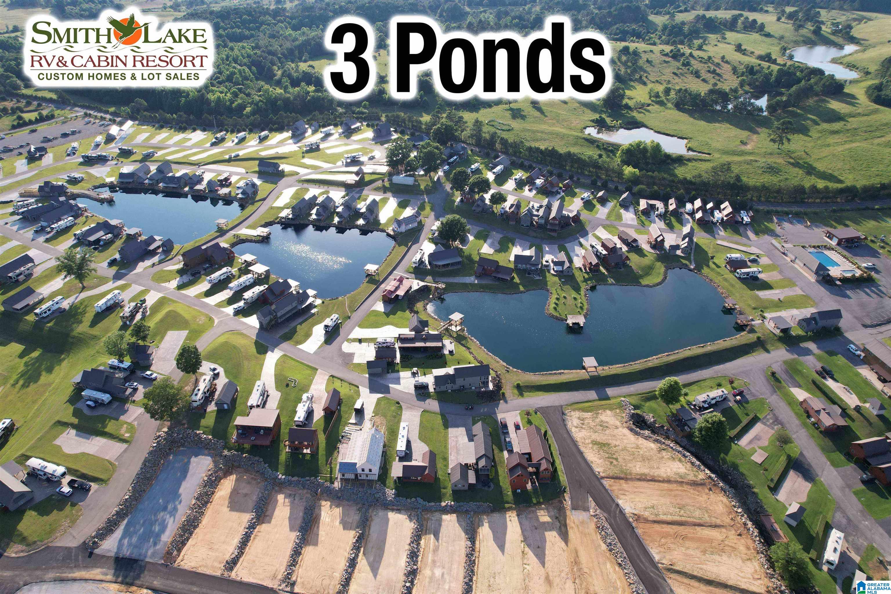 21 County Road 2031 Crane Hill, AL 35053 - Photo 10 of 16