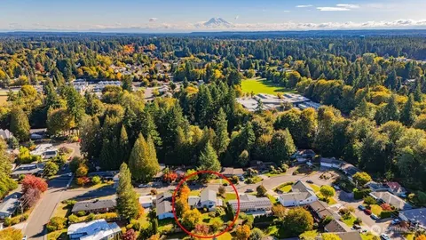 a picture of flowers