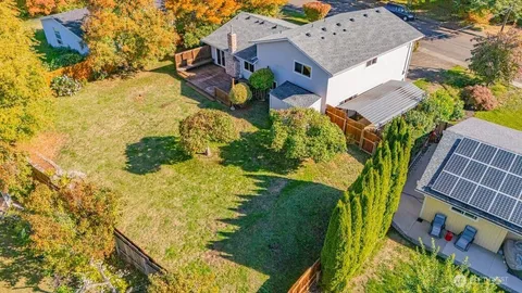 a view of a yard in front of a house with a large tree
