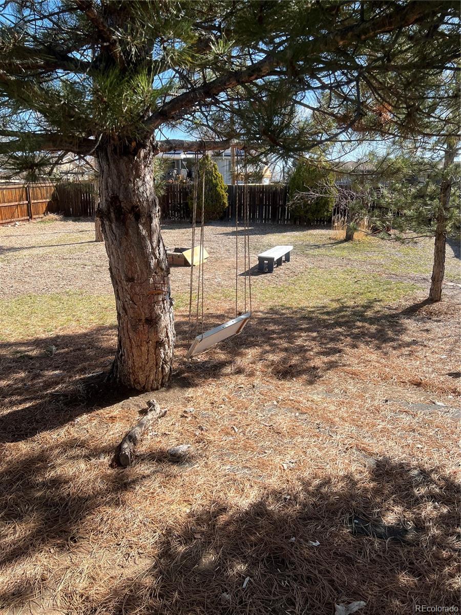 1076 Mobile Street Aurora, CO 80011 - Photo 6 of 8