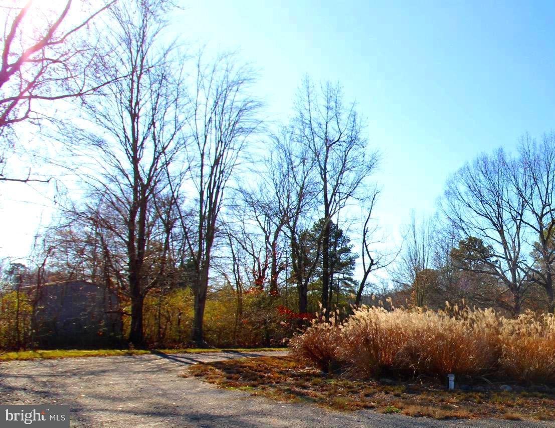 106 Watkins Road Grasonville, MD 21638 - Photo 28 of 28 Gallery Image 28