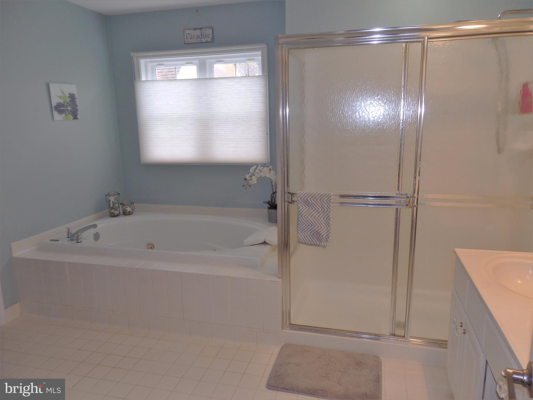 2454 Bear Den Road Frederick, MD 21701 - Photo 16 of 30 a bathroom with a bathtub and a shower