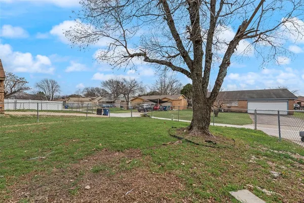 a view of a garden with a tree