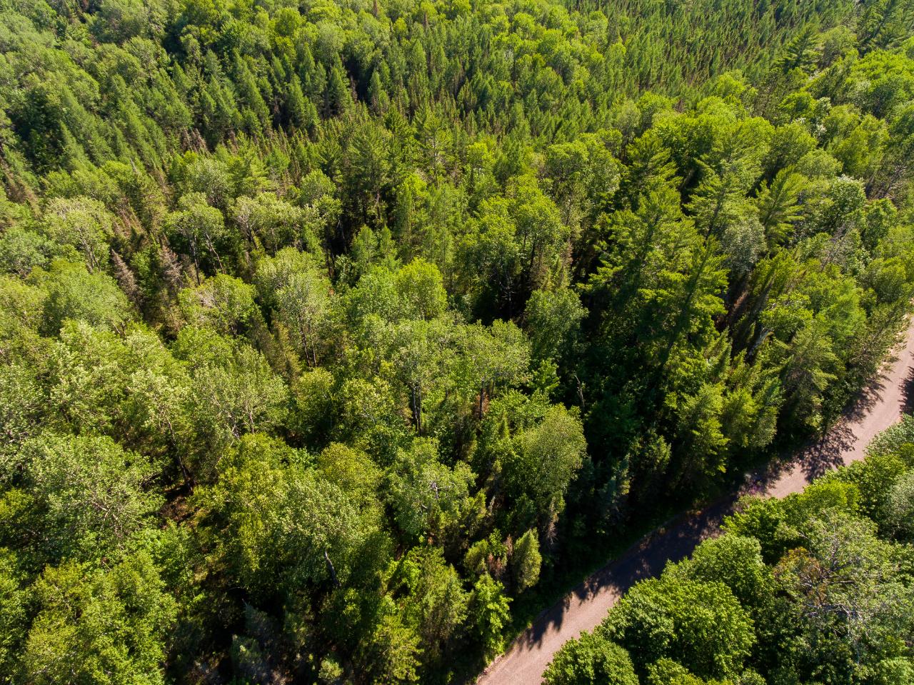 Lot 9 Moonshine Valley Road Presque Isle, WI 54557 - Photo 7 of 19 Gallery Image 7