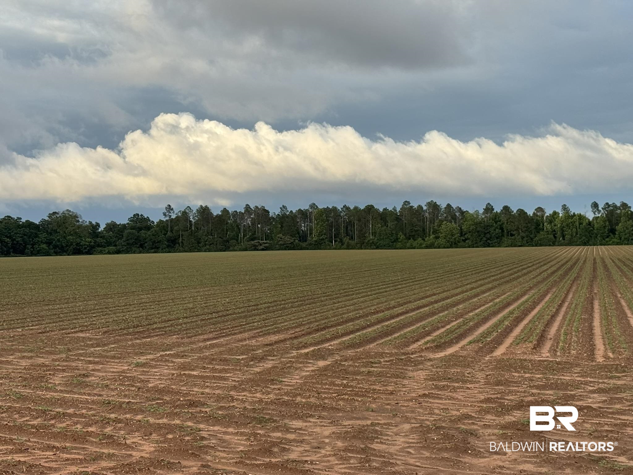 0 Old Stage Road Repton, AL 36475 - Photo 17 of 27 Gallery Image 17