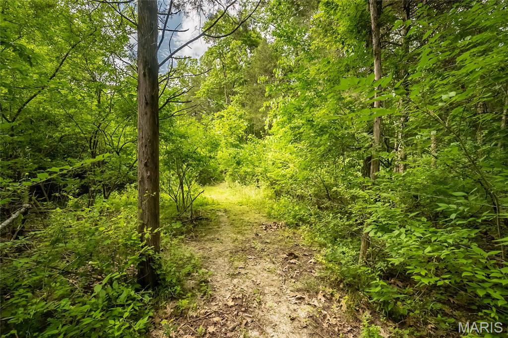 0 Watson Road Festus, MO 63028 - Photo 9 of 17