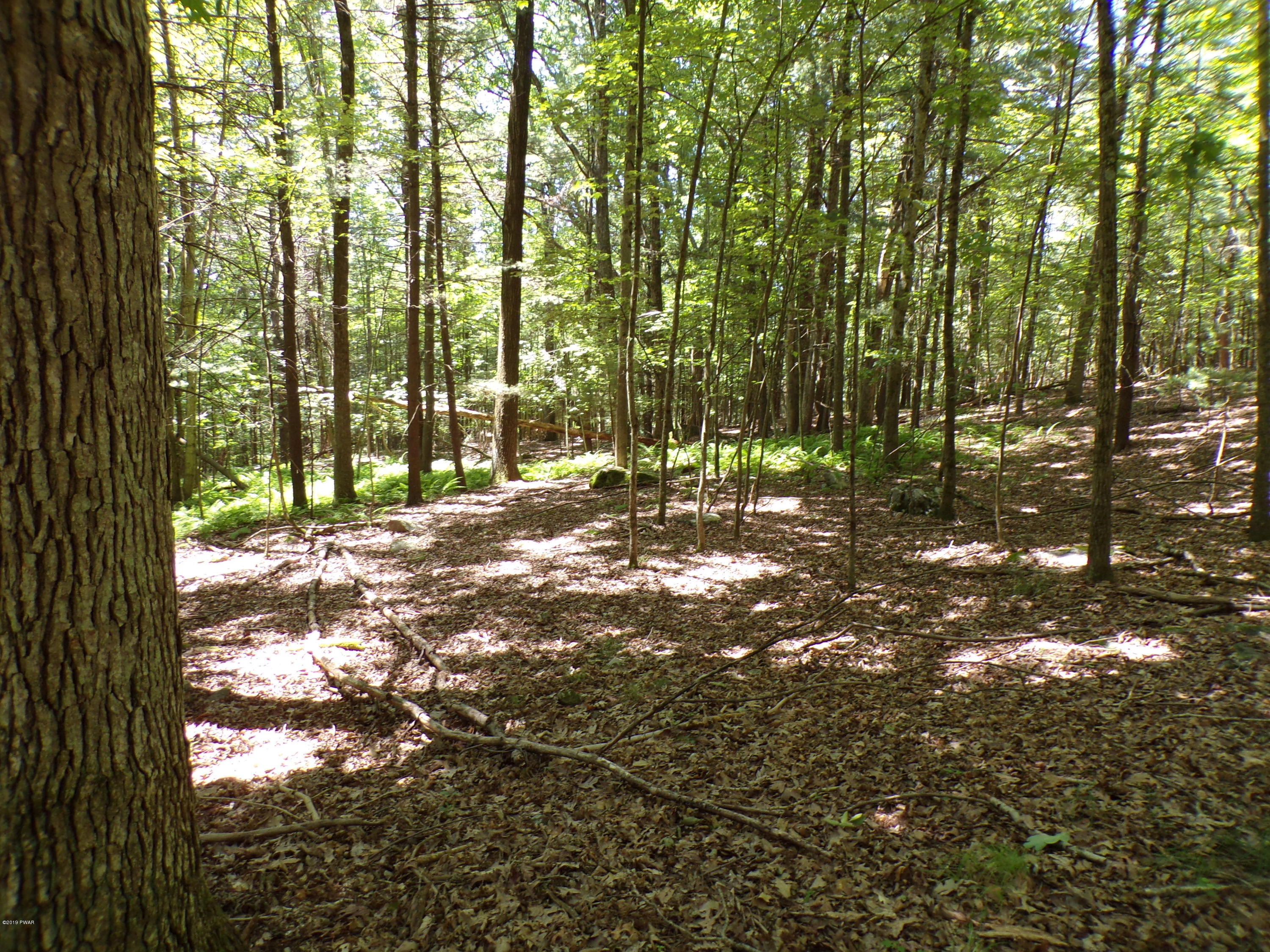 3 Spruce Street Lake Ariel, PA 18436 - Photo 3 of 9