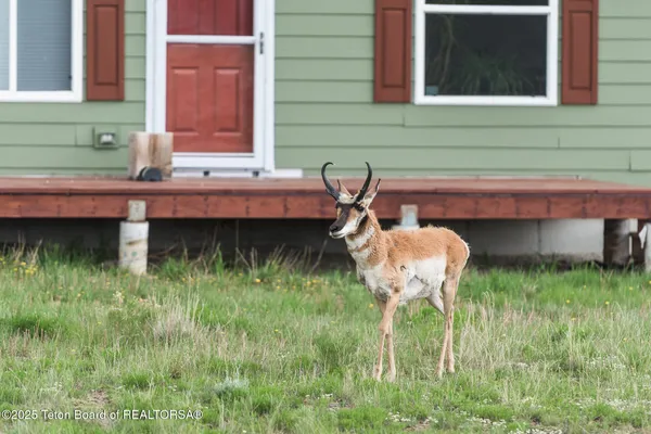 $339,000 | 58 Blackhawk Trail, Pinedale, WY 82941