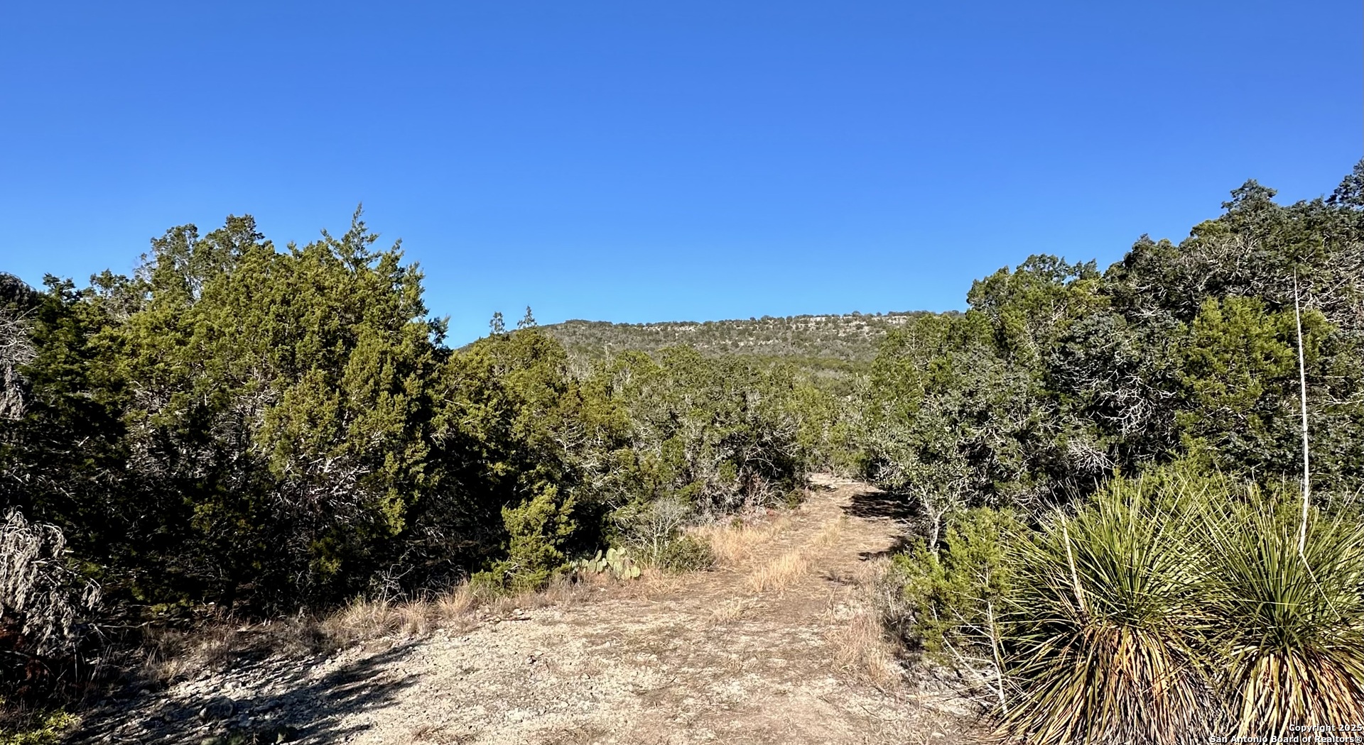 Lot 96 Black Jack Hollow Utopia, TX 78884 - Photo 15 of 20 a view of a field