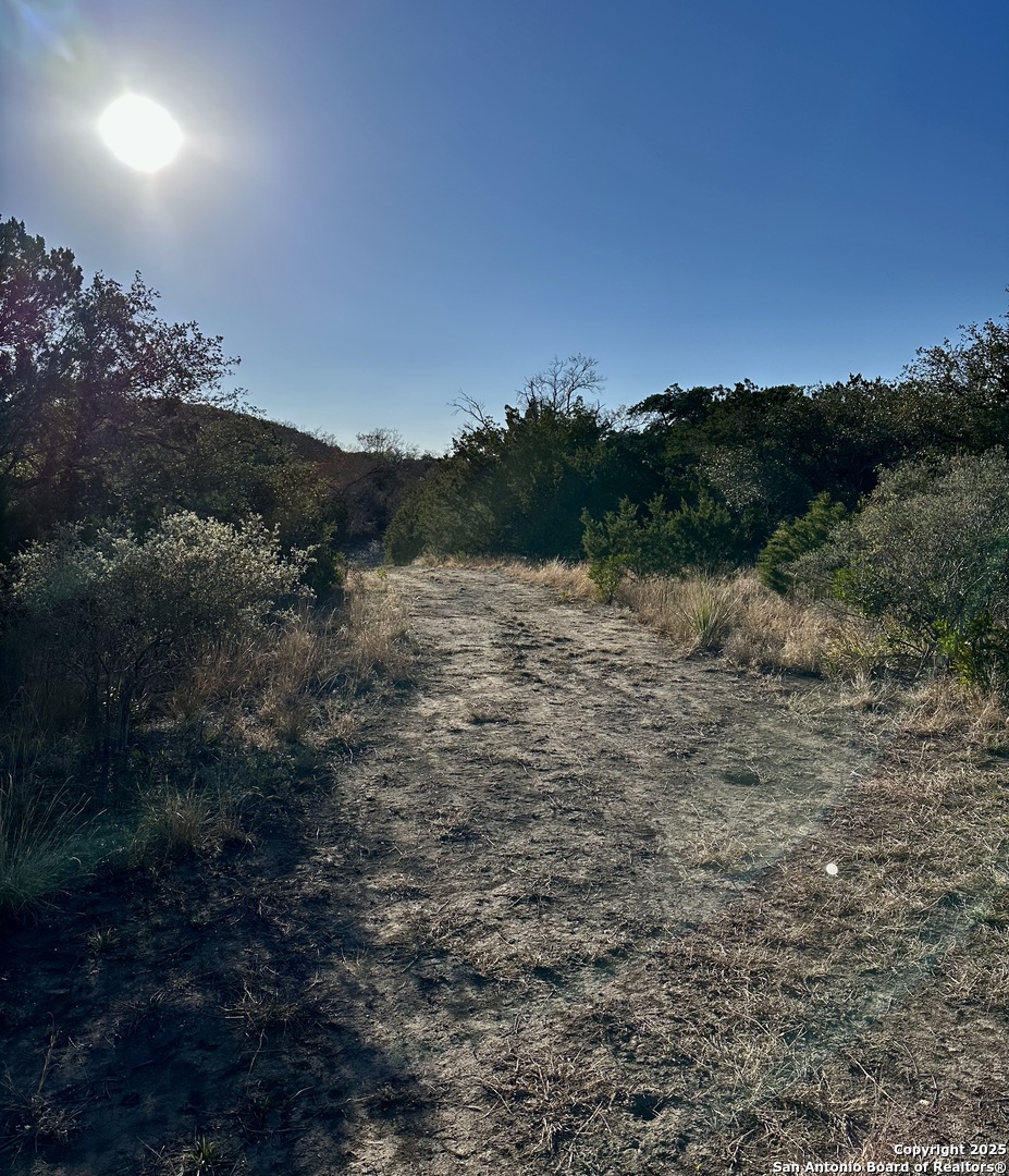 Lot 96 Black Jack Hollow Utopia, TX 78884 - Photo 19 of 20 a view of a lake view and mountain view
