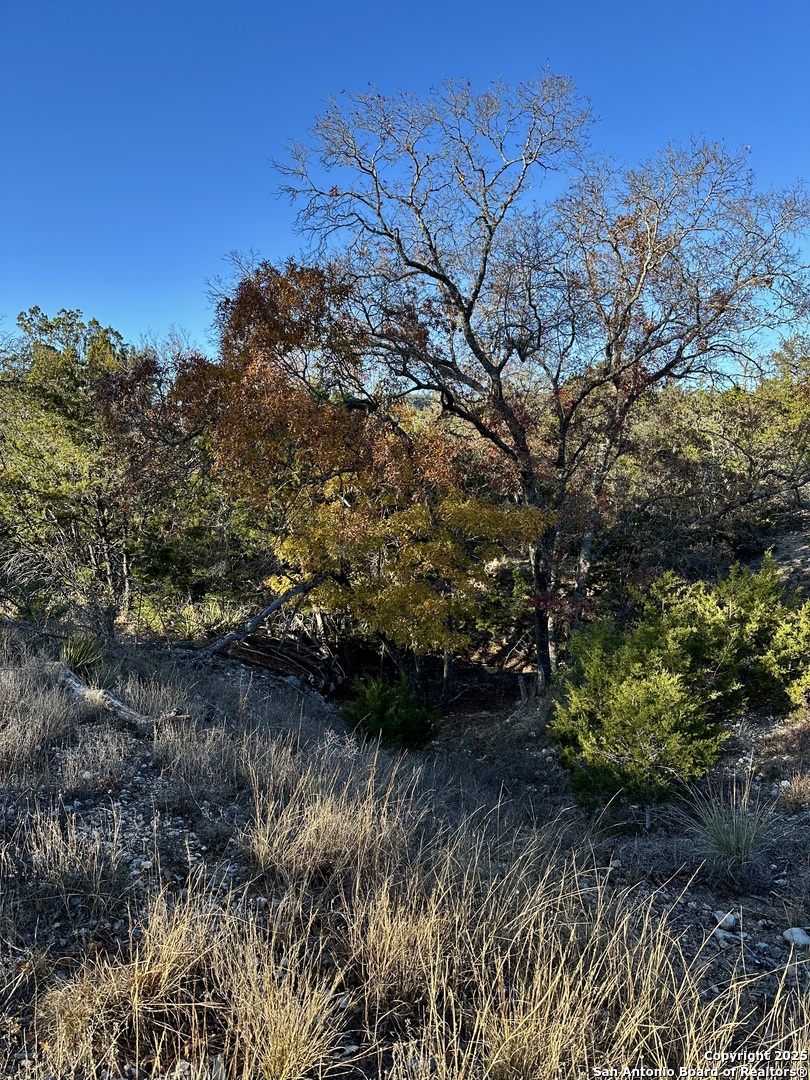 Lot 96 Black Jack Hollow Utopia, TX 78884 - Photo 20 of 20