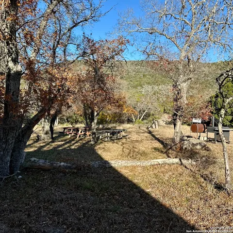 a view of a yard with large trees