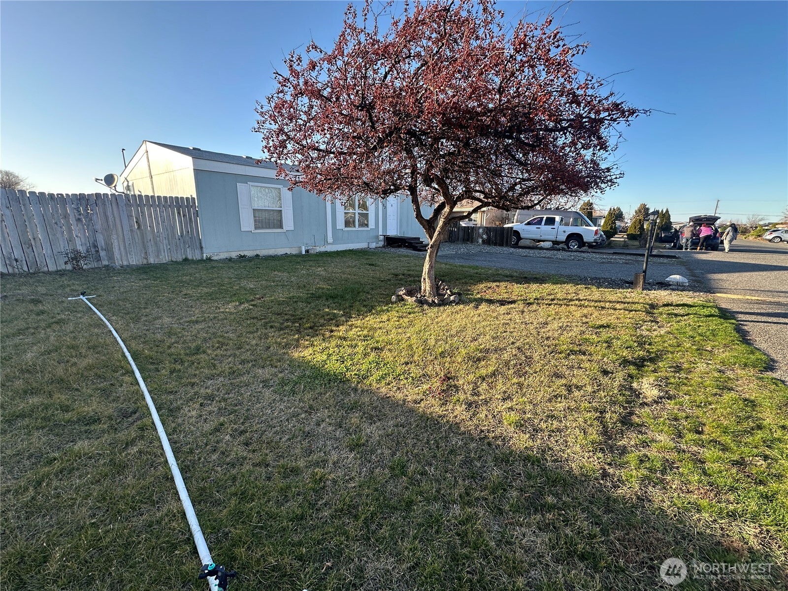 2917 West 19th Avenue, Unit 103 Kennewick, WA 99337 - Photo 2 of 11 a view of backyard with tree