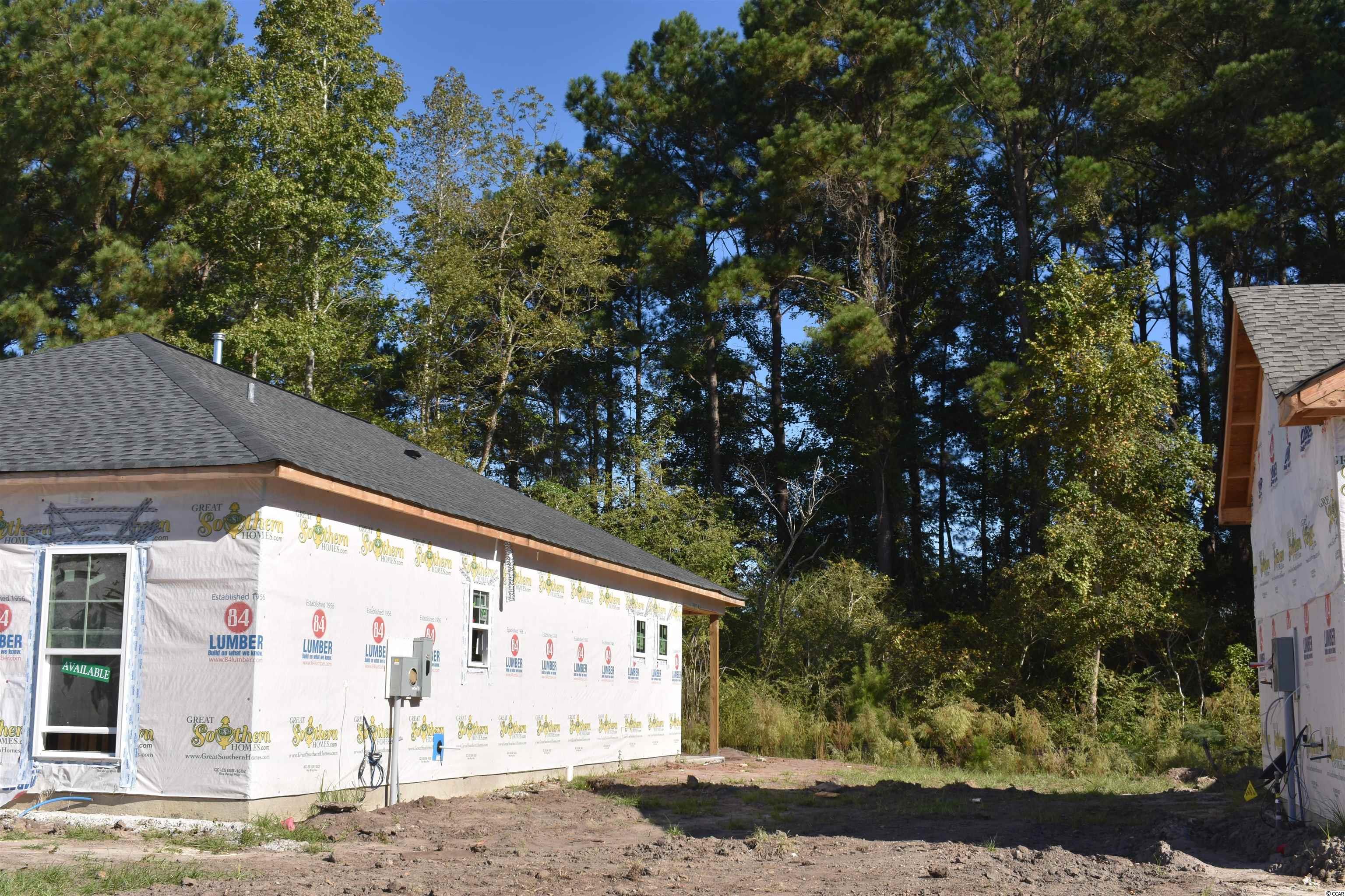 220 Red Maple Loop Longs, SC 29568 - Photo 6 of 18 Gallery Image 6