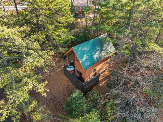 a view of a tree in a garden