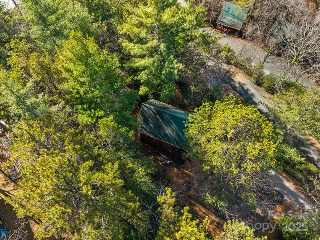 a close up of a tree