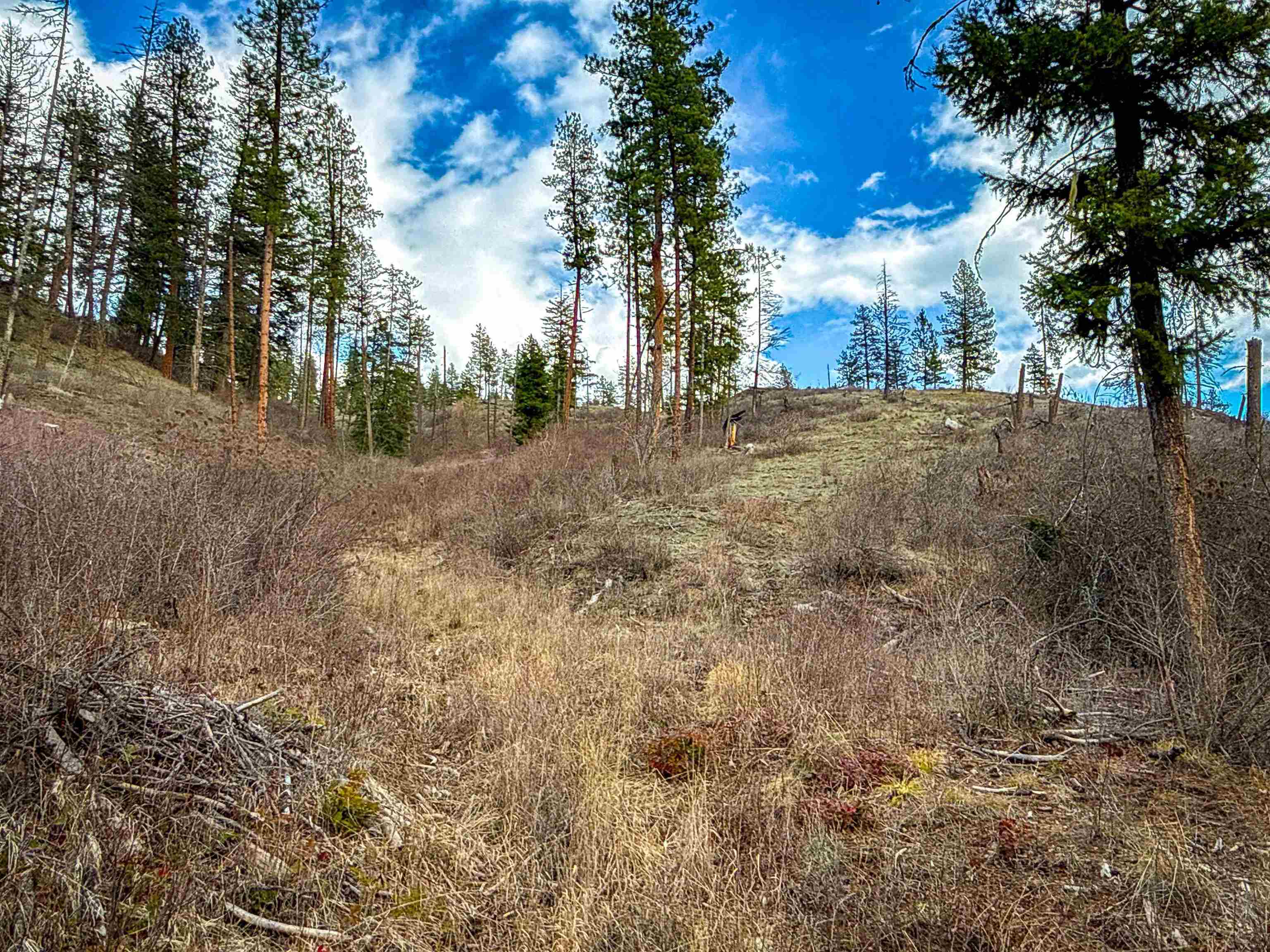 Nka Best Chance Road Usk, WA 99180 - Photo 16 of 50