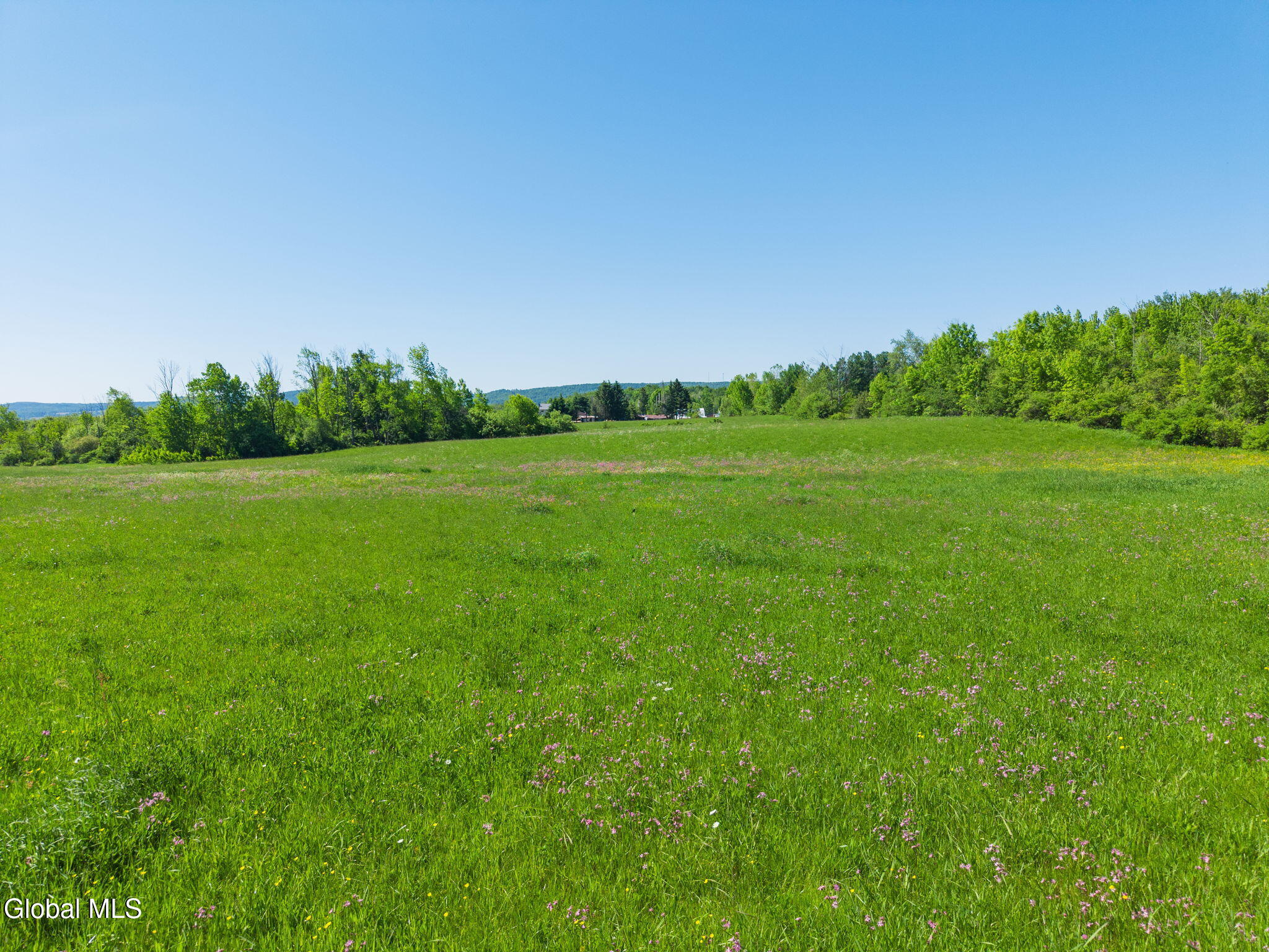 L1 Paines Hollow Road Mohawk, NY 13407 - Photo 4 of 15 4-L1PainesHollowRd_04