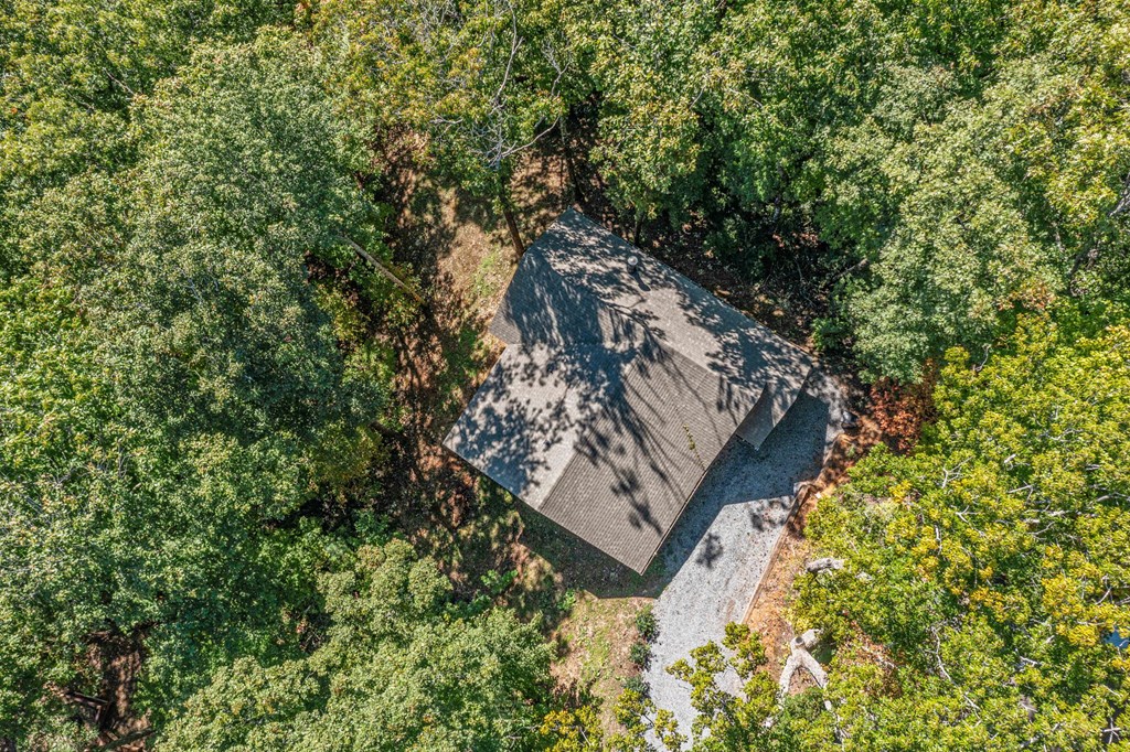 593 North Moreland Drive Blue Ridge, GA 30513 - Photo 27 of 35 Gallery Image 27