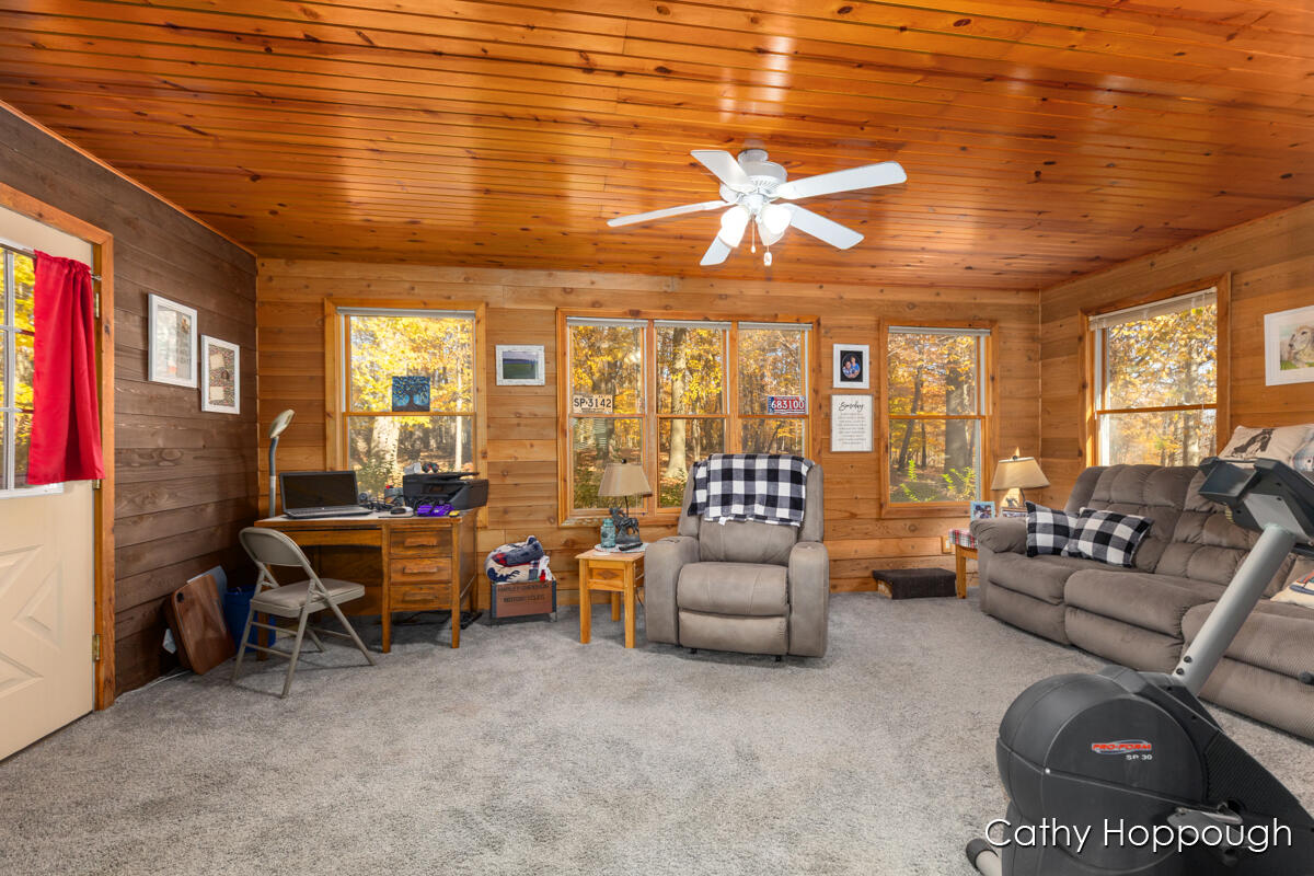 3494 Bradford Road Ionia, MI 48846 - Photo 15 of 48