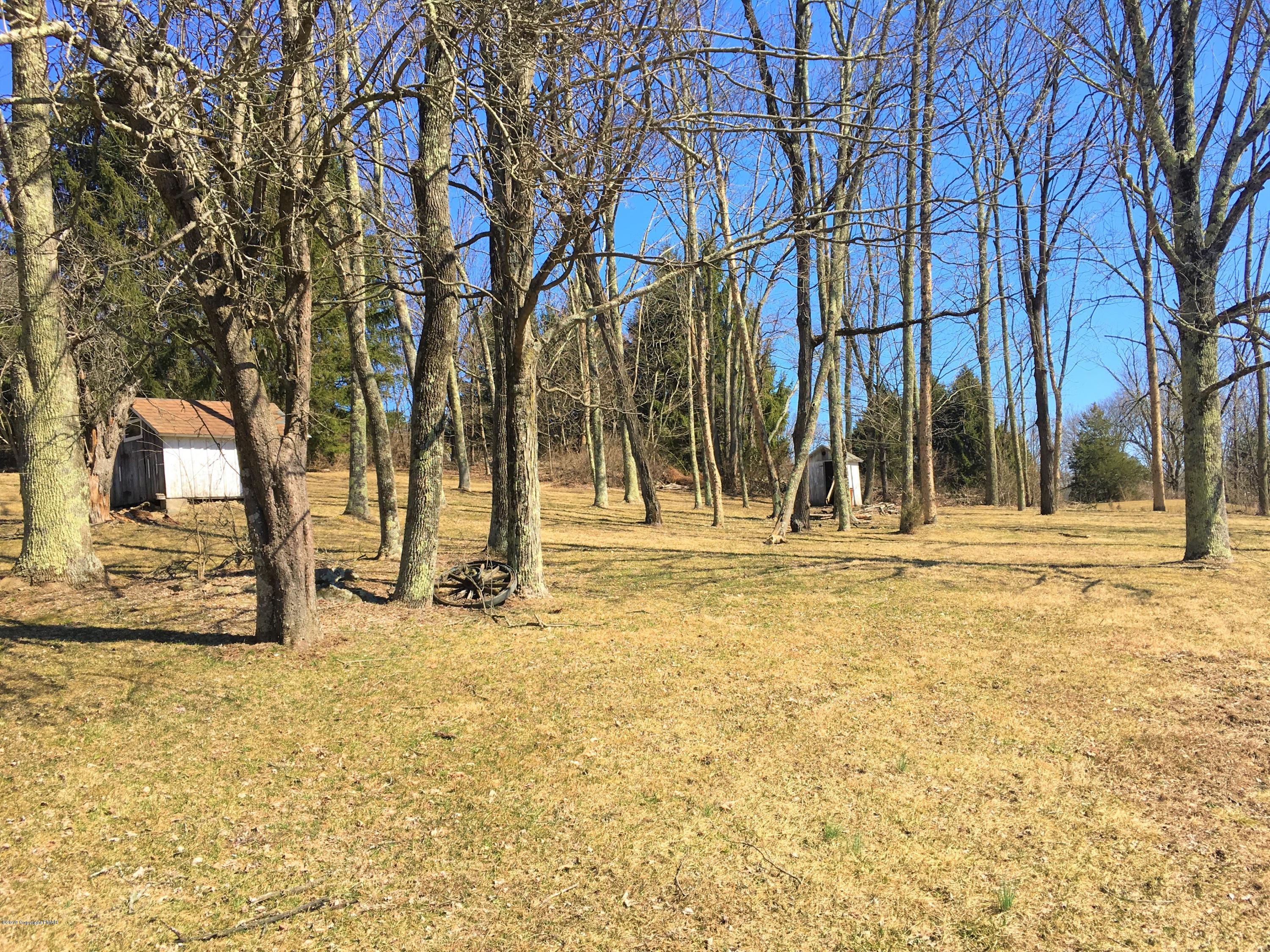 5736 Neola Road Stroudsburg, PA 18360 - Photo 33 of 37 a view of park with large trees