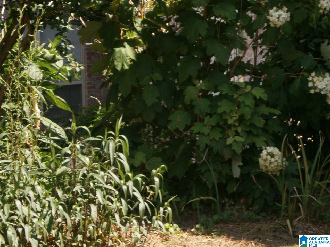 3876 Ripple Leaf Circle Birmingham, AL 35216 - Photo 20 of 28