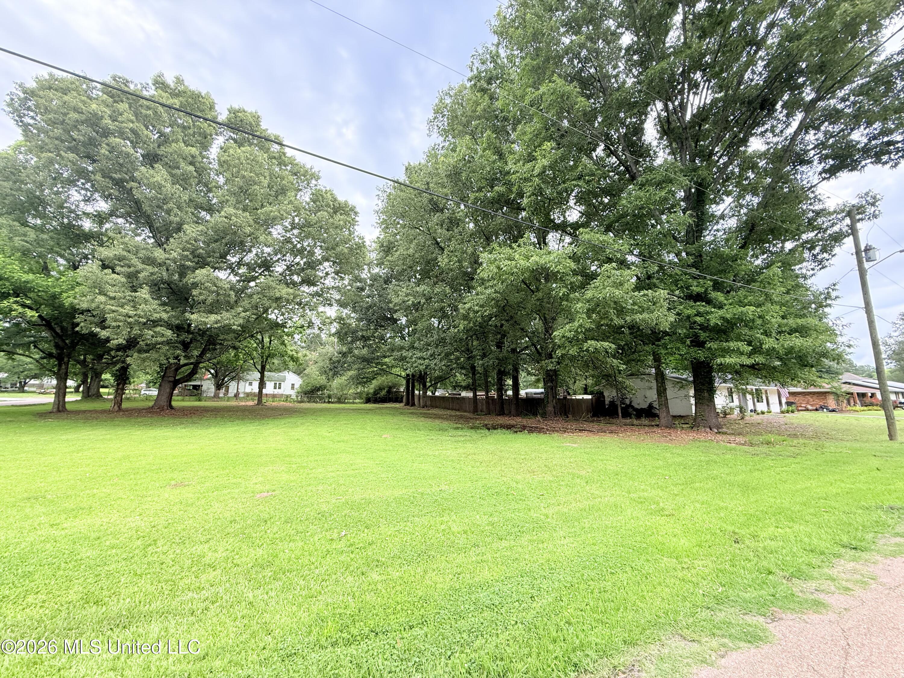 Northwest 4th Street Flora, MS 39071 - Photo 5 of 8 IMG_4989