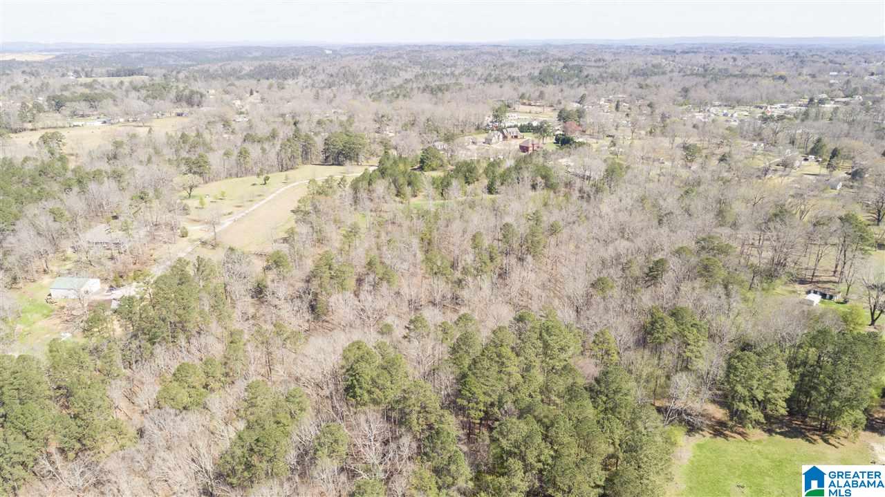 850 Rosemary Way Mount Olive, AL 35117 - Photo 9 of 12
