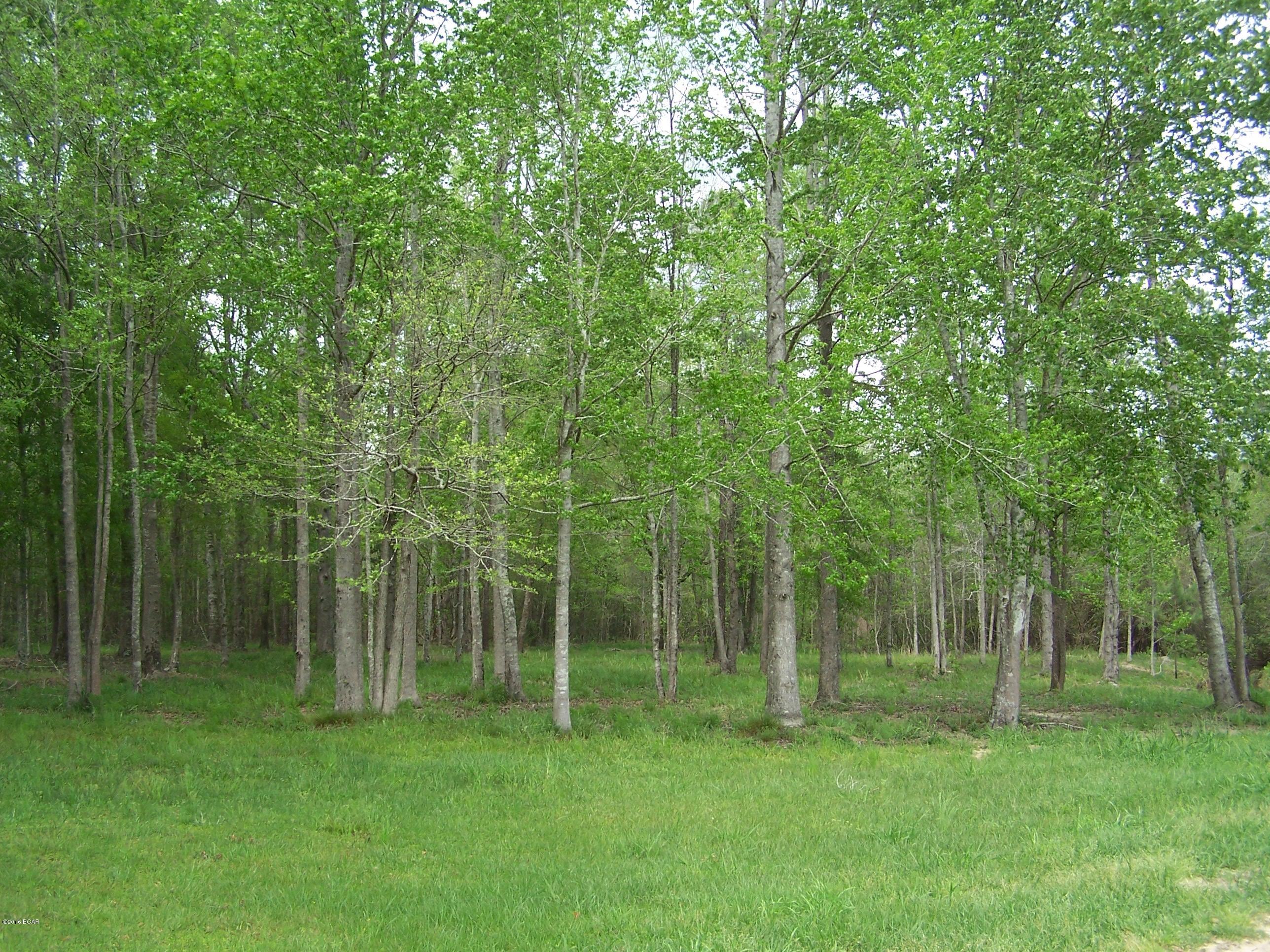 1059 Wilcox Crossing Road Bonifay, FL 32425 - Photo 42 of 70 Gallery Image 42
