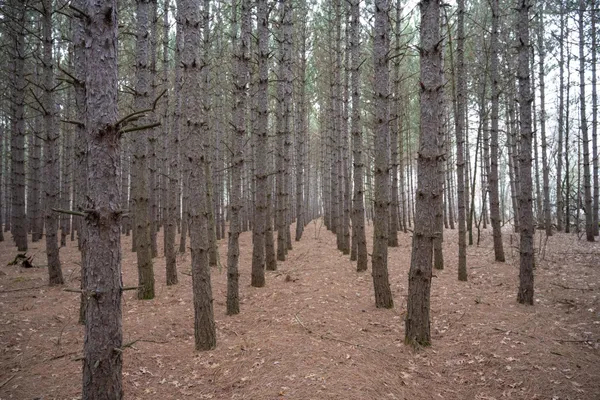 $217,000 | 685 17th, Arkdale, WI 54613