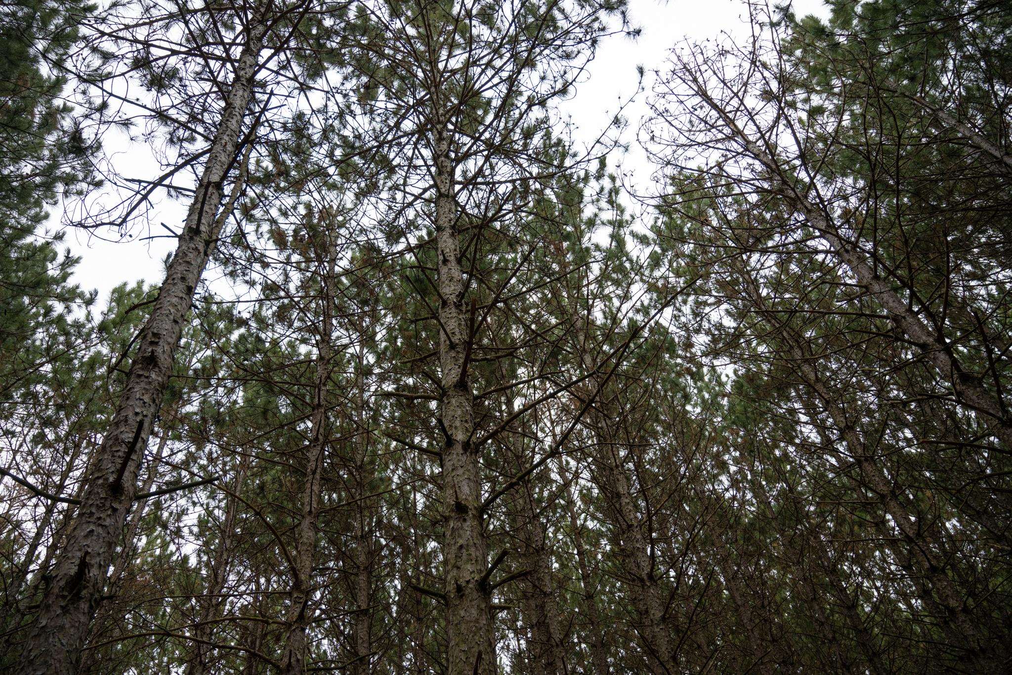 685 17th Arkdale, WI 54613 - Photo 11 of 17