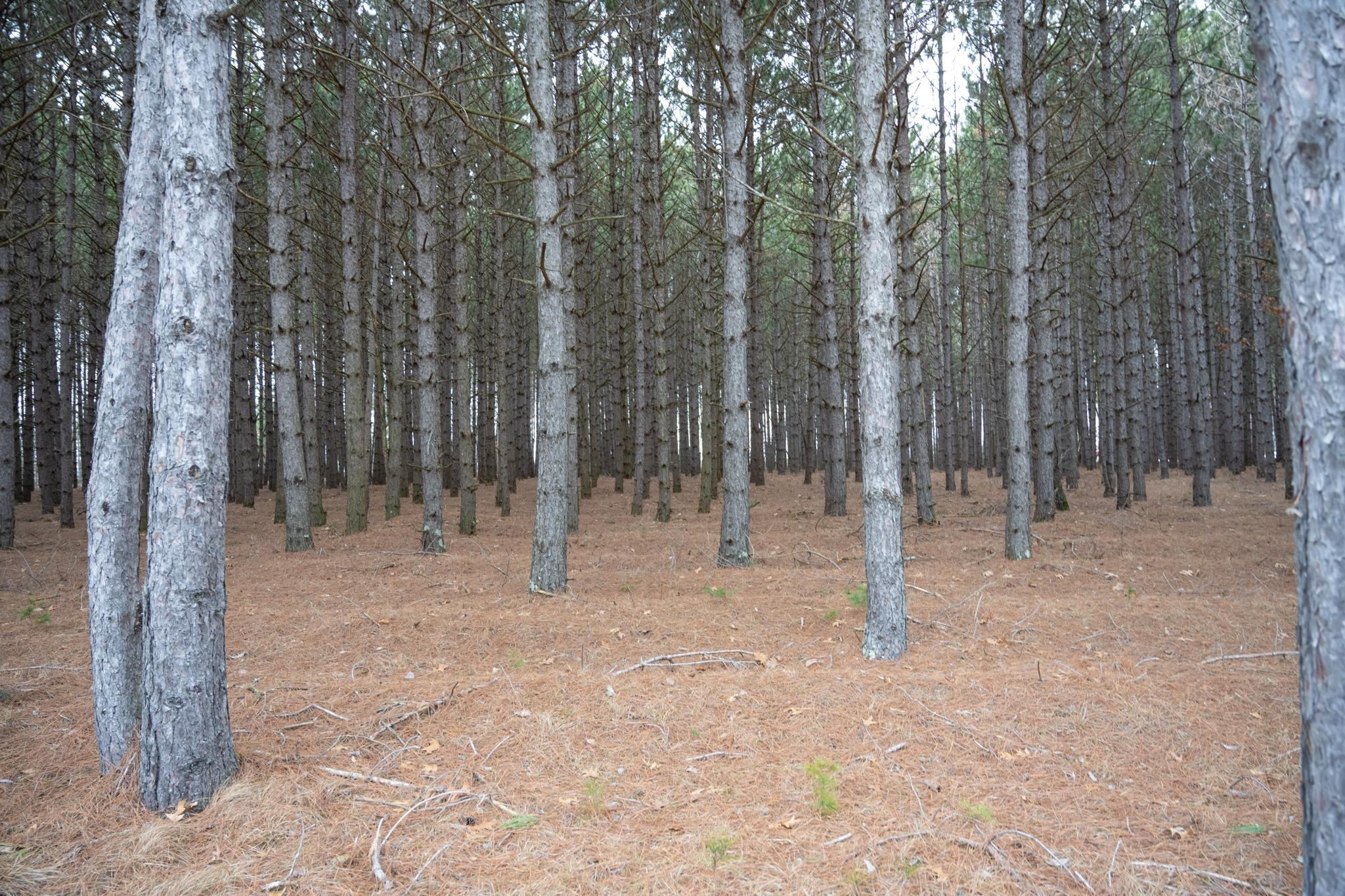 685 17th Arkdale, WI 54613 - Photo 12 of 17